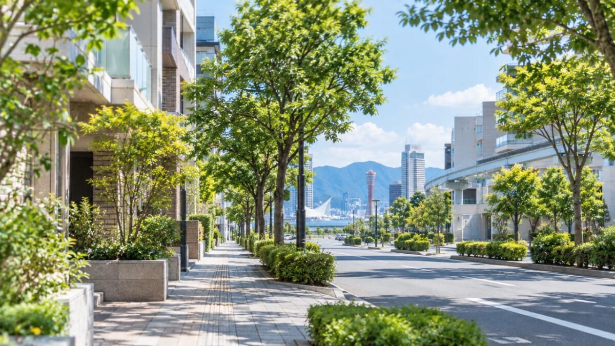 緑豊かな港町の並木道