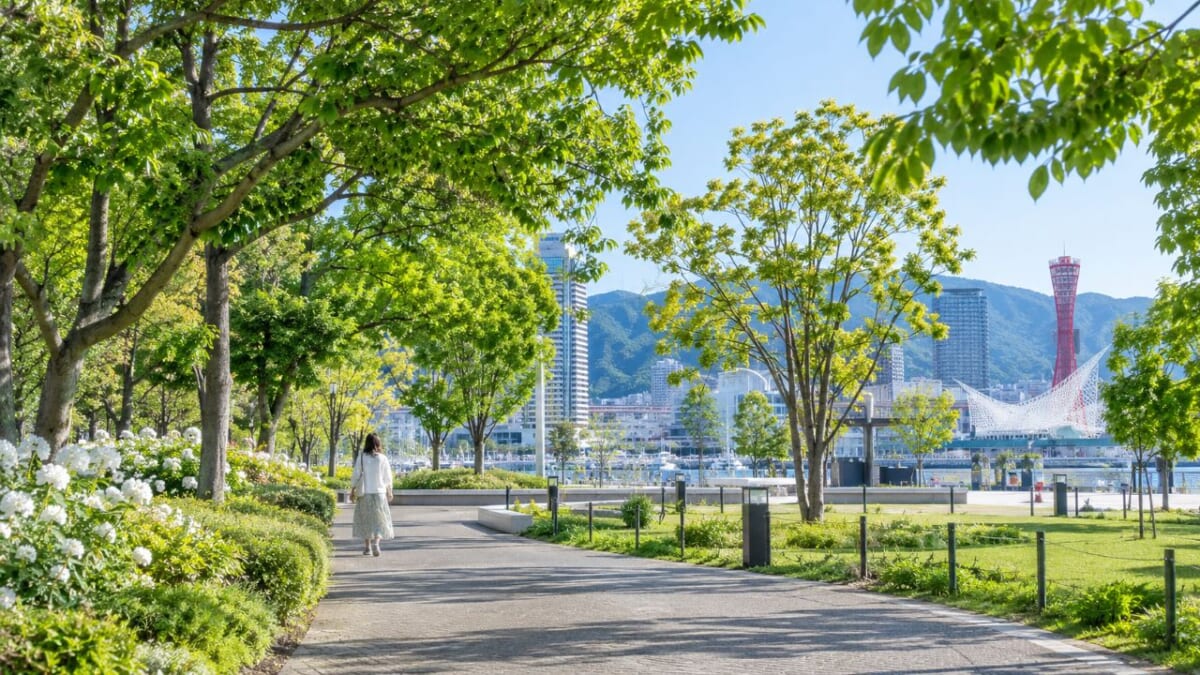 緑陰の水辺の遊歩道